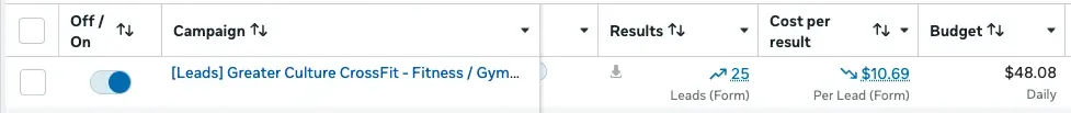Ad account showing 25 leads at $10.69 per lead
